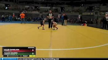 45 lbs Semis & 1st Wrestleback (8 Team) - Hyler Danielson, Minneota vs Mason Haugen, Zumbrota-Mazeppa