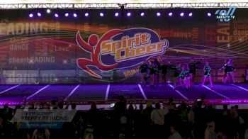 Venom Allstars - Preppy Pythons [2024 L3 Junior - D2 Day 2] 2024 Spirit Cheer Dance Grand Nationals & Cheer Nationals