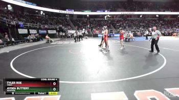 II-132 lbs Cons. Round 4 - Tyler Roe, Tioga vs Ayden Buttery, Newfane