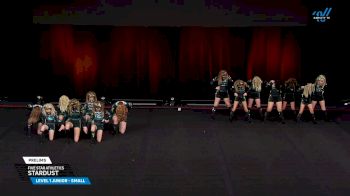 Five Star Athletics - Stardust [2025 L1 Junior - Small Prelims] 2025 The D2 Summit