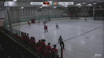 Replay: Home - 2024 Thunderbirds vs Shredders | Jan 25 @ 6 PM