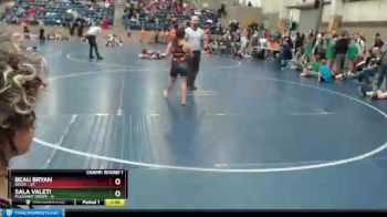 95 lbs Champ Round 1 (16 Team) - Beau Bryan, Delta vs Sala Valeti, Pleasant Grove