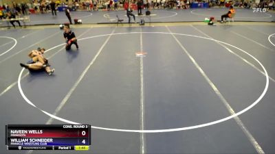 132 lbs Cons. Round 3 - Naveen Wells, Minnesota vs William Schneider, Pinnacle Wrestling Club