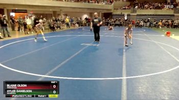 65 lbs Champ. Round 1 - Blaine Olson, Princeton vs Hyler Danielson, Minneota