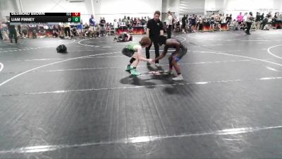 113 lbs Quarterfinal - Liam Finney, Carolina Forest vs Desmond Brown, The Chicken Coop