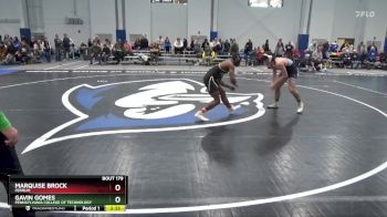 157 lbs Cons. Round 2 - Gavin Gomes, Pennsylvania College Of Technology vs Marquise Brock, Ferrum