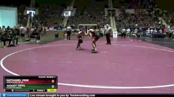 152 lbs Champ. Round 2 - Nathaniel Mink, Brookwood Jr-Sr vs Woody Fipps, Mountain Brook