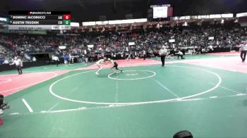 108 lbs Champ. Round 3 - Dominic Jacobucci, LAC3 vs Austin Trusnik, STR1