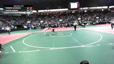 108 lbs Champ. Round 3 - Dominic Jacobucci, LAC3 vs Austin Trusnik, STR1