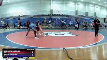 126 lbs Cons. Round 4 - Harrison Haffner, OH vs Chance Woods, IL