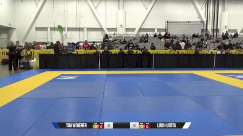 LUIS HUERTA vs TIM WEGENER 2024 World IBJJF Jiu-Jitsu No-Gi Championship