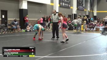 110 lbs Round 2 (6 Team) - Calliope Willman, Illinois vs Paiten Einspahr, NE Valkyrie