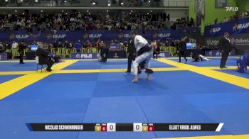 Elliot Virgil Alwes vs Nicolas Schwinninger 2025 European Jiu-Jitsu IBJJF Championship