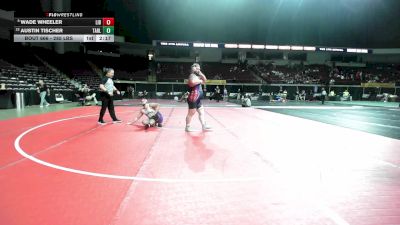 285 lbs Round Of 16 - Wade Wheeler, Liberty vs Austin Tischer, Tarleton State