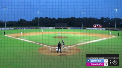 Replay: Home - 2024 Blowfish vs Flamingos | Jul 15 @ 7 PM