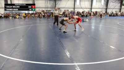 Elite 141 lbs Cons. Round 6 - Tanner Arjes, Upper Iowa vs Culley Bellino, Cortland State