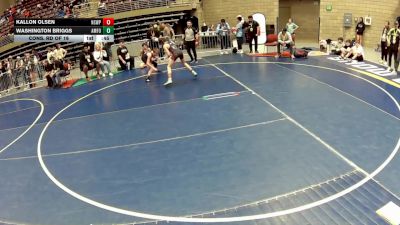 93 lbs Cons. Rd Of 16 - Washington Briggs, American Fork vs Kallon Olsen, North Sevier Wolf Pack