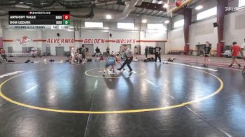 129 lbs Round 4 (12 Team) - Anthony Valls, Mat Assassins Red vs Dom Lezark, Scorpions