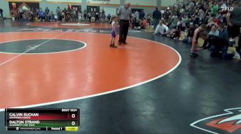 Semifinal - Dalton Strand, Alburnett Mat Pack vs Calvin Suchan, Hammerin Hawks