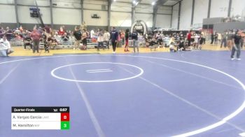 116 lbs Quarterfinal - Andres Vargas Garcia, Lake Stevens WC vs Mercer Hamilton, Mat Demon WC