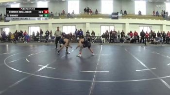 149 lbs Champ. Round 1 - Dominik Mallinder, Wisconsin-Whitewater vs CJ Briner, Trine