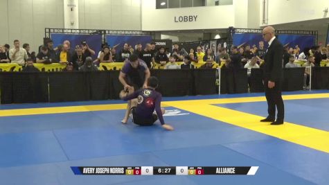 William Alexander Jones vs Avery Joseph Norris 2024 World IBJJF Jiu-Jitsu No-Gi Championship