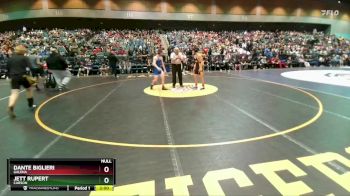 138 lbs Prelim - Dante Biglieri, Galena vs Jett Rupert, Carson