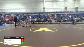 123 lbs Champ. Round 2 - Tanner Tishner, Red Cobra Wrestling Academy vs Christopher Dominguez, Lagrange Wrestling Club