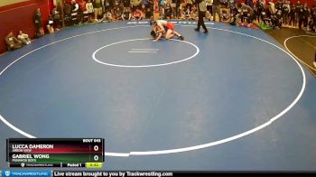 113 lbs Cons. Round 4 - Gabriel Wong, Punahou Boys vs Lucca Dameron, Arbor View