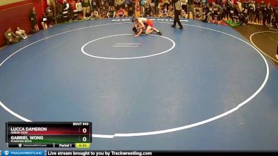 113 lbs Cons. Round 4 - Gabriel Wong, Punahou Boys vs Lucca Dameron, Arbor View