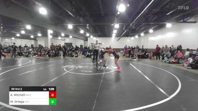 116 lbs Rr Rnd 3 - Akeeah Mitchell, NM Gold vs Mia Ortega, Izzy Style NM Beast