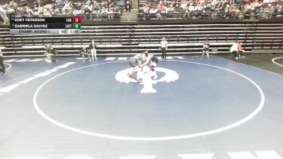 6A 170 lbs Champ. Round 1 - Gabriela Galvez, Layton vs Zoey Peterson, Lehi