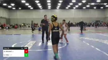 100 lbs 5th Place - Carter Felix, Tuff Kidz vs Akeem Mitchell, Nm Gold