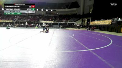184 lbs Round Of 16 - Thomas Fulton, Iowa State vs Mathias Collins, Menlo College (NCAA)