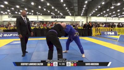 David Anderson vs Geoffrey Lawrence Dalton 2025 World Master IBJJF Jiu-Jitsu Championship