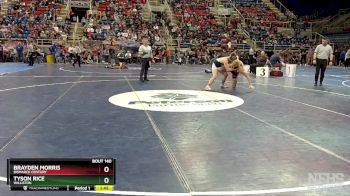 160 lbs Quarterfinal - Tyson Rice, Williston vs Brayden Morris, Bismarck Century