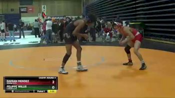 132 lbs Champ. Round 3 - Damian Mendez, Dodge City vs Felippe Willis, Canon City