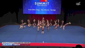 USA Wildcats - Cheetahs [2026 L2 Junior - Flex - Medium Prelims] 2026 The Summit