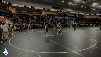 115 lbs Champ. Round 2 - Harper Winter, Waukon vs Zoe Dempsey, New Lenox (Lincoln-Way Central)