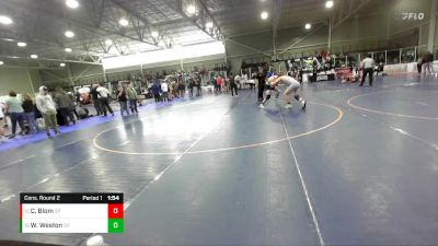 175 lbs Cons. Round 2 - Cruz Blom, Idaho Falls Tiger Wrestling vs Wilkes Weston, Rich