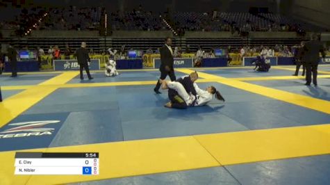 Elisabeth Clay vs Natalie Nibler 2018 Pan Jiu-Jitsu IBJJF Championship