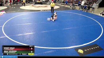 106 lbs Champ. Round 1 - Wyatt Wald, Cambridge-Isanti vs Broc Vaughan, Kasson-Mantorville
