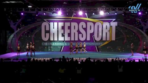 C4 Longhorns - Gold [2024 L5 Senior - D2 - Small - A Day 2] 2024 CHEERSPORT National All Star Cheerleading Championship