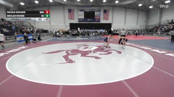 110 lbs Round 3 (3 Team) - Nicolo Dolson, Miller Place High Sch vs Declan McKee, Tioga Sr HS