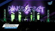 Ultimate Dance & Cheer - Junior Large Pom [2025 Junior - Pom - Large Day 2] 2025 DanceFest Grand Nationals