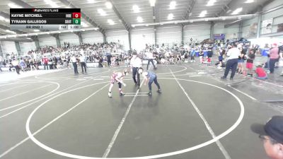 87 lbs Rr Rnd 1 - Kayne Mitchell, Independent vs Tyrann Gallegos, Southwest Hammers