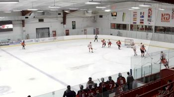 Replay: Home - 2023 Falcons U18 A vs ND Hounds U18 A | Nov 4 @ 3 PM