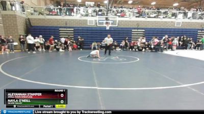 65 lbs Round 1 - Aleyannah Stamper, Small Town Wrestling vs Nayla O`Neill, Silver Valley