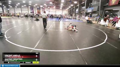 100 lbs Rd# 6- 9:00am Saturday Final Pool - Vincent Anello, California National Team vs Santino DiMatteo, Double Champs