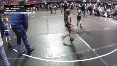 57-62 lbs 3rd Place Match - Remy Rodehorst, Lakeview vs Aspen Scott, Wisner Rec Wrestling Club
